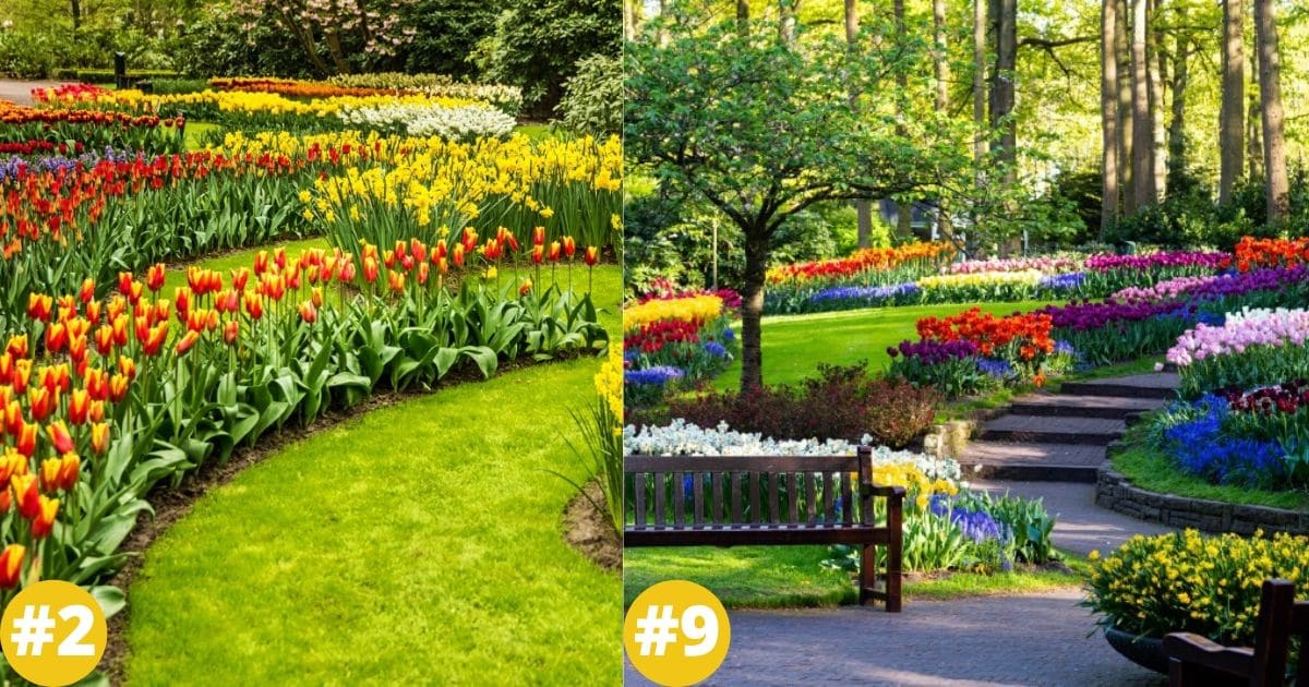 50 Photos of the Netherland’s Biggest Gardens – 7 Million Blooms