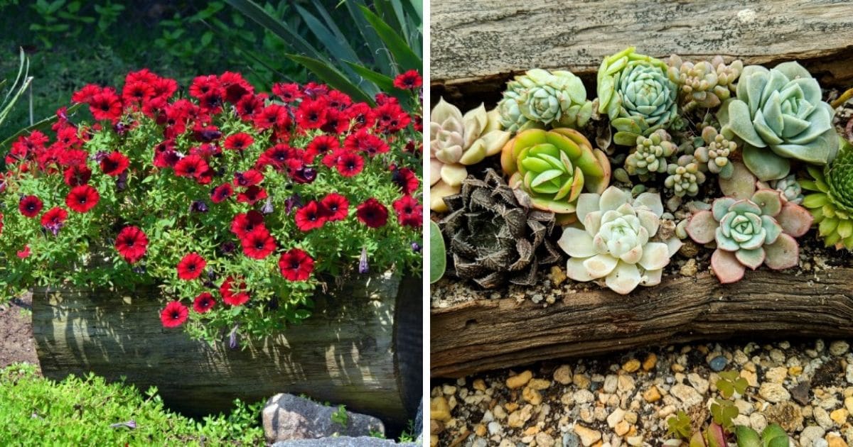 17 Gorgeously Rustic Log Planters and How to Make Them