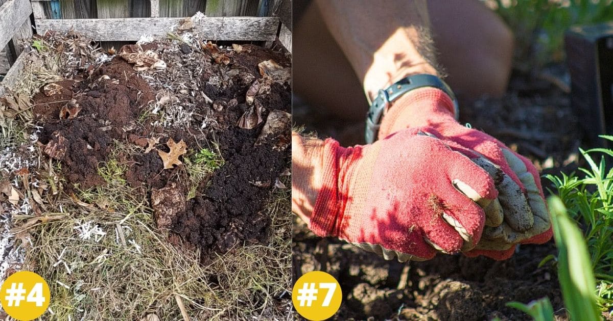 9 Inventive Ways to Use Coffee Grounds in Your Garden