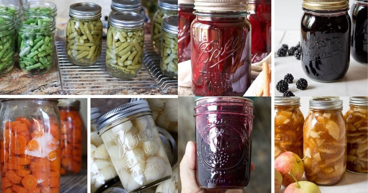 3 Simple Ways to Preserve Garden Produce With 20 Recipes