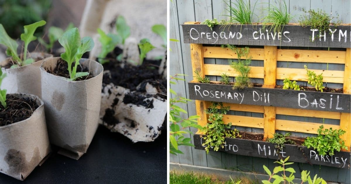 25 Everyday Things You Can Upcycle in the Garden
